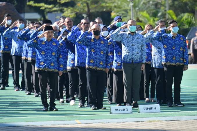 Revisi UU ASN dan Potensi Membebani Keuangan Negara