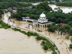 526.000 Paket MBG Dialihkan untuk Korban Banjir Sumatera, Langkah Tepat di Masa Darurat