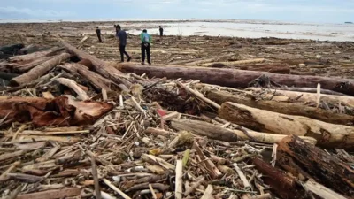 KLH Janji Tindak Tegas Perusahaan yang Picu Banjir Sumut, Empat Operasional Usaha Dihentikan
