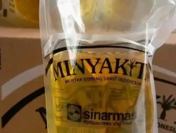 Pemda Kini Berwenang Sanksi Pedagang Jual Minyakita di Atas HET