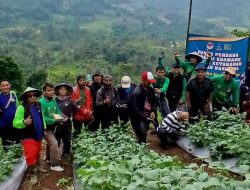 Trisinergi Edamame: Strategi Ketahanan Pangan dan Pemberdayaan Ekonomi Desa Cikarag