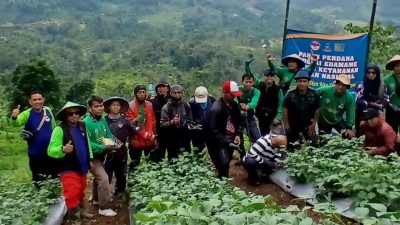 Trisinergi Edamame: Strategi Ketahanan Pangan dan Pemberdayaan Ekonomi Desa Cikarag