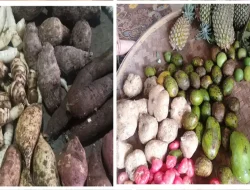 Tradisi Ngupati 4 Bulanan, Warisan Budaya Sunda yang Penuh Nilai Spiritual